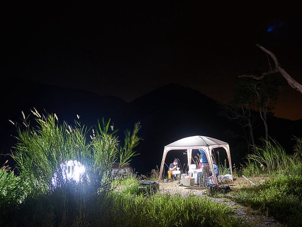 Moth surveys and experiments